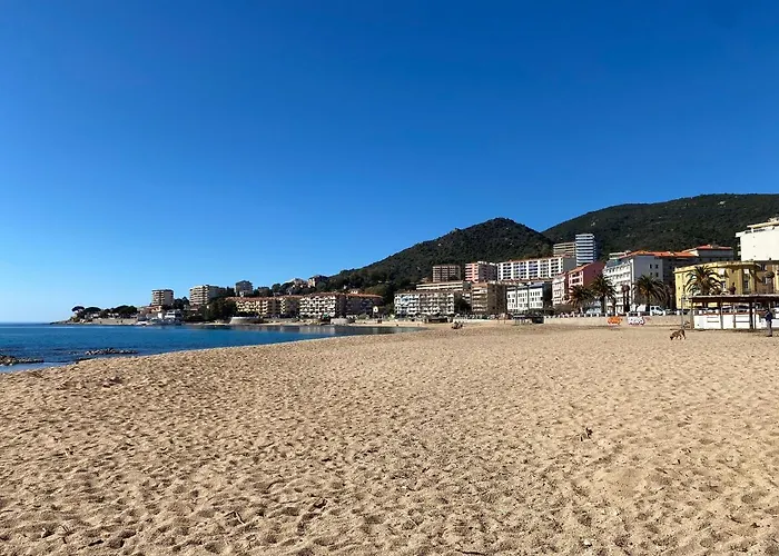 Appartement 2 Pièces / Neuf - Centre - Place Miot / 1er