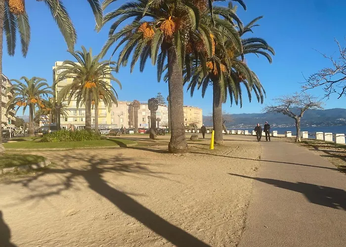 Appartement 2 Pièces / Neuf - Centre - Place Miot / 1er *