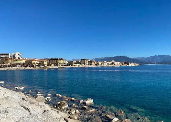 2 Pièces / Neuf - Centre - Place Miot / 1er Appartement