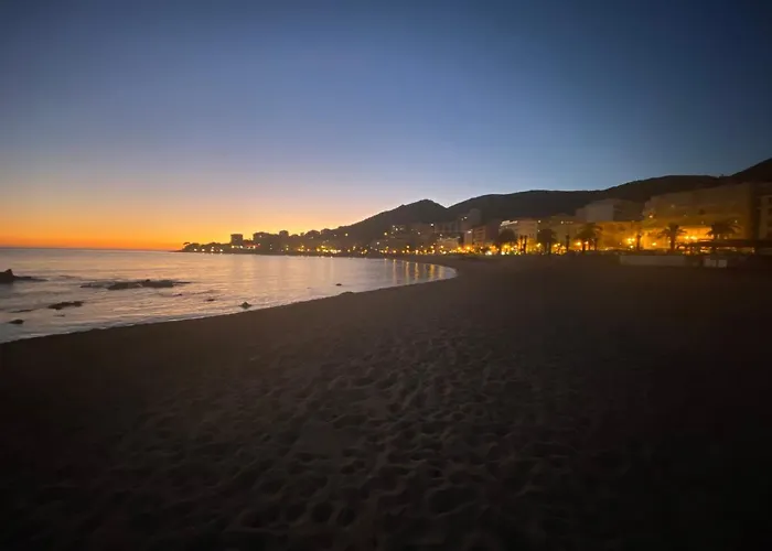 2 Pièces / Neuf - Centre - Place Miot / 1er