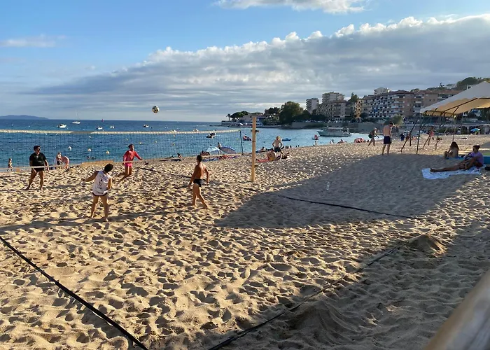 2 Pièces / Neuf - Centre - Place Miot / 1er *